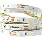 5M STRISCIA 12V 4.8W 6500K IP20 product photo