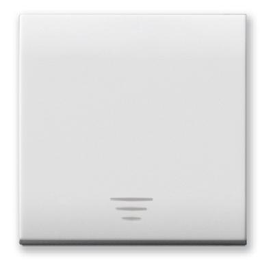 Tasto con gemma per pulsanti Domus S44. colore RAL 9010  finitura lucida  2 Mod. product photo Photo 01 3XL