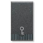 Pulsante con simbolo chiave Noir S45, colore nero, 1P 10A - finitura opaca - 1 Mod. product photo