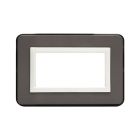 Placca Paersonal S44, colore grigio lucido - con cornicetta - 4 Mod. product photo