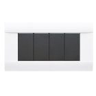 Placca Ral S45, lucida in tecnopolimero colore bianco banquise 4 Mod. product photo