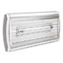 Lampada emergenza F65 24W IP65 AT SE 1N/RM product photo