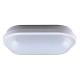 Geo LED 20W Oval White 4K product photo Photo 01 2XS