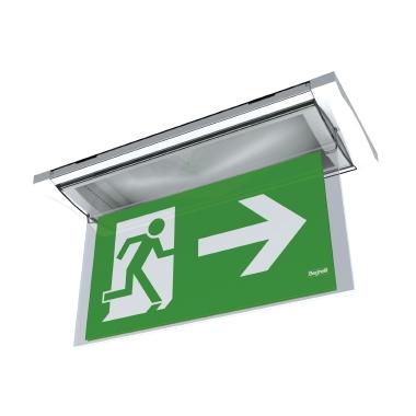 Schermo Bandiera Dx/Sx F65 product photo Photo 01 3XL