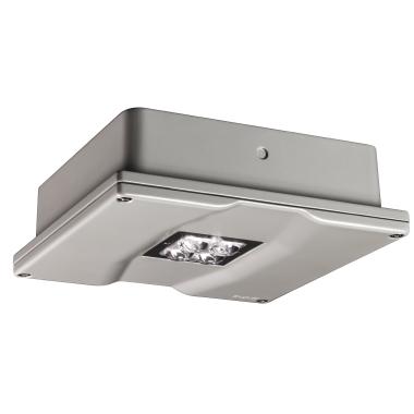 LUNGALARGALUCE EXTREME OPT product photo Photo 01 3XL