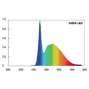 Sfera Es LED 5W E14 6500K product photo Photo 02 3XL