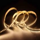 StripLED Cct 24V 22W 2Klm Ip20 product photo