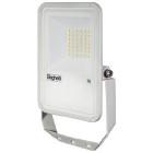 Fl LED 30W Bianco Ip66 3K product photo