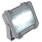 Proiettore LED 30W 4000K Alluminio Pressofuso Schermo Vetro IP66 product photo