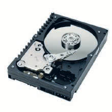 XDWD1000 HARD DISK SATA 1TB product photo
