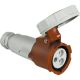 Presa mobile dritta 16A - 400V - 3P+T - IP67 - 50-60Hz - colore rosso product photo Photo 01 2XS