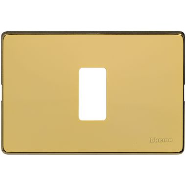 placca 1P in ottone lucido - con sottoplacca isolante e aggancio graduale per supporto 500S/13 product photo Photo 01 3XL