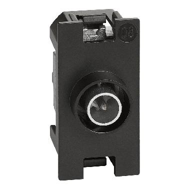 L.NOW - presa TV diretta  1 mod product photo Photo 01 3XL