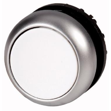 Pulsante luminoso, piatto, bianco, ad impulso product photo Photo 01 3XL