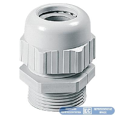 PRESSACAVO PG 9 SENZA GHIERA product photo Photo 01 3XL