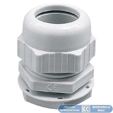 PRESSACAVO PG 21 CON GHIERA product photo Photo 01 3XL