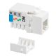Presa RJ12 UTP 90° cat.3, colore bianco product photo Photo 01 2XS