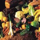 FILTRO VERDURA PROIETTORI 5261Ø160 product photo