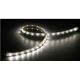 Tapelight 180 LED bianco da 5 metri product photo Photo 01 2XS