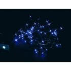 MINILUCCIOLE 96 MICROLED con memory control - Blu product photo