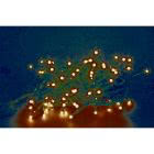 Luci Natale LED bianche 192 con memory control - cavo scuro product photo