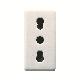 Presa standard italiano 250v ac - 2p+t 16a bivalente - p11-p17 - 1 modulo - system white product photo Photo 01 2XS