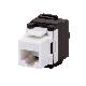 PRESA RJ45 - NON SCHERMATA - CATEGORIA 6 - UTP product photo Photo 01 2XS