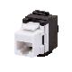 PRESA RJ45 - NON SCHERMATA - CATEGORIA 6a - UTP product photo Photo 01 2XS