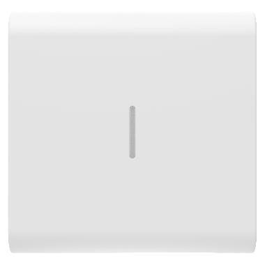 TASTO INTERCAMBIABILE PER COMANDI ASSIALI - CON DIFFUSORE - 2 MODULI - BIANCO SATINATO - CHORUSMART product photo Photo 01 3XL