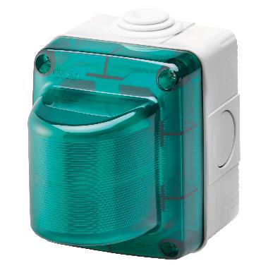 SPIA DI SEGNALAZIONE - 15W - 230V - DIFFUSORE VERDE - IP55 - GRIGIO RAL 7035 product photo Photo 01 3XL