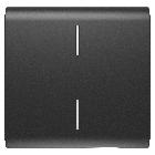 TASTO INTERCAMBIABILE PER COMANDI ASSIALI - CON 2 DIFFUSORI - 2 MODULI - NERO SATINATO - CHORUSMART product photo