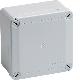 IP56 01 GRI CAS.PAR. 100X100X50 product photo Photo 01 2XS