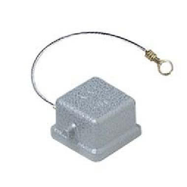 Coperchio, serie CKA, con 2 piolini, grandezza '21.21', per frutti presa, con guarnizione e occhiello product photo Photo 01 3XL