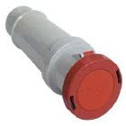 presa mobile, serie PLUSO, 3 poli + N + PE, 6 h (rosso), 125 A, 380 ÷ 415 V product photo