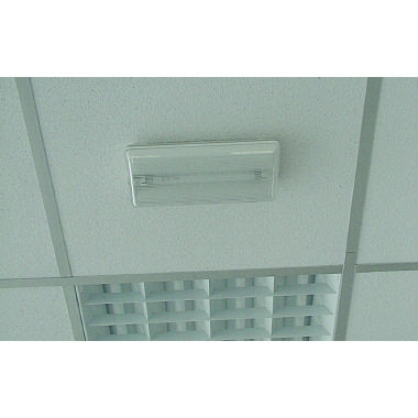 Elematic Ancorina Etaf/V 4/14 (Conf. da 50 Pz.) product photo Photo 04 3XL