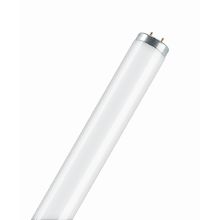 OSRAM SA-Type T12 | G13, 65 W, Cold White, 4000 K product photo