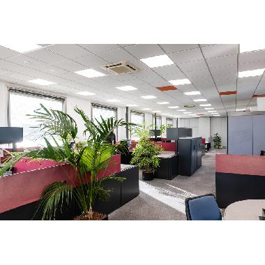 ZIGBEE TO DALI INTERFACE 3.0 DALI CONV LI product photo Photo 03 3XL