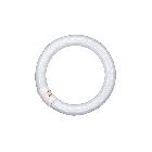 LUMILUX® T9 C 32 W/840 G10Q product photo