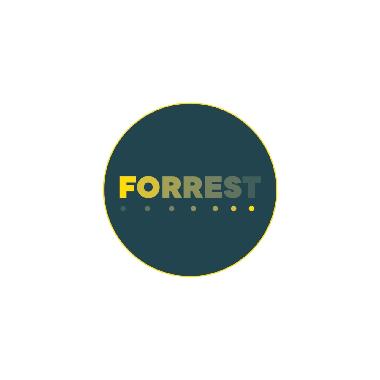 Generatore show su strisce LED Pixel to Pixel (3 fili) 5-12-24Vdc con comando tramite PUSH+APP FORREST BLUETOOTH (Android 13 o iOS 15) product photo Photo 03 3XL