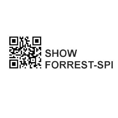 Generatore show su strisce LED Pixel to Pixel (3 fili) 5-12-24Vdc con comando tramite PUSH+APP FORREST BLUETOOTH (Android 13 o iOS 15) product photo Photo 04 3XL