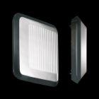 Excell quadra flat 300 G23 Nero product photo