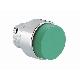 Pulsante met. sporgente verde product photo Photo 01 2XS