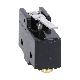 Micro switch a leva (54mm) term. vite product photo Photo 01 2XS