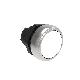 Pulsante rasato bianco product photo Photo 01 2XS
