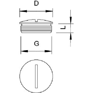 Tappo a vite PG29 Ottone nichelato product photo Photo 02 3XL