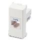 
SERIE DOMOTER FRUTTO PRESA RJ45 CAT 6 FTP 1 MOD
 product photo Photo 01 2XS