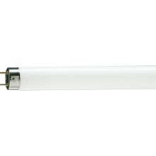 MASTER TL-D 90 Graphica - Fluorescent lamp - Potenza: 36 W - Classe di efficienza energetica (ELL): B - Temperatura di colore correlata (Nom): 5300 K product photo