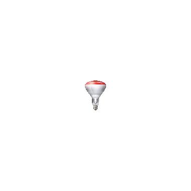 Lampade a infrarossi per uso industriale -  IR lamp -  Consumo energetico: 250 W product photo Photo 01 3XL