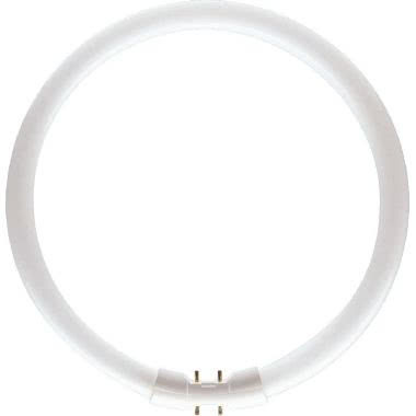 MASTER TL5 Circolari - Fluorescent lamp - Potenza: 60 W - Classe di efficienza energetica (ELL): A - Temperatura di colore correlata (Nom): 4000 K product photo Photo 01 3XL