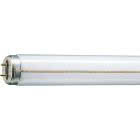 TL-M Rapid Start Standard - Fluorescent lamp - Classe di efficienza energetica (ELL): B - Temperatura di colore correlata (Nom): 6200 K product photo